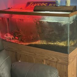 55 Gallon Fishtank 