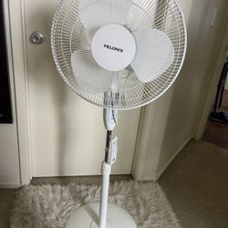 Fan