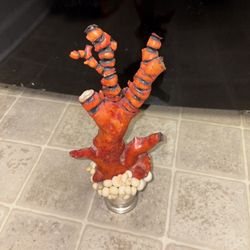 Vintage Fossilized Coral and Seashells 
