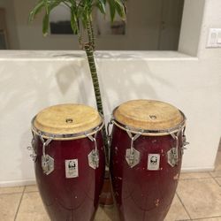 Congas Trombón Guitarra  Mandolinas Rines20  Small Mills Dreall