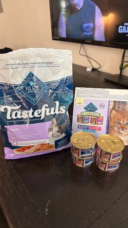 Blue buffalo kitten food