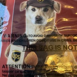 UPS  Dog Costume