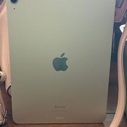 Apple ipad