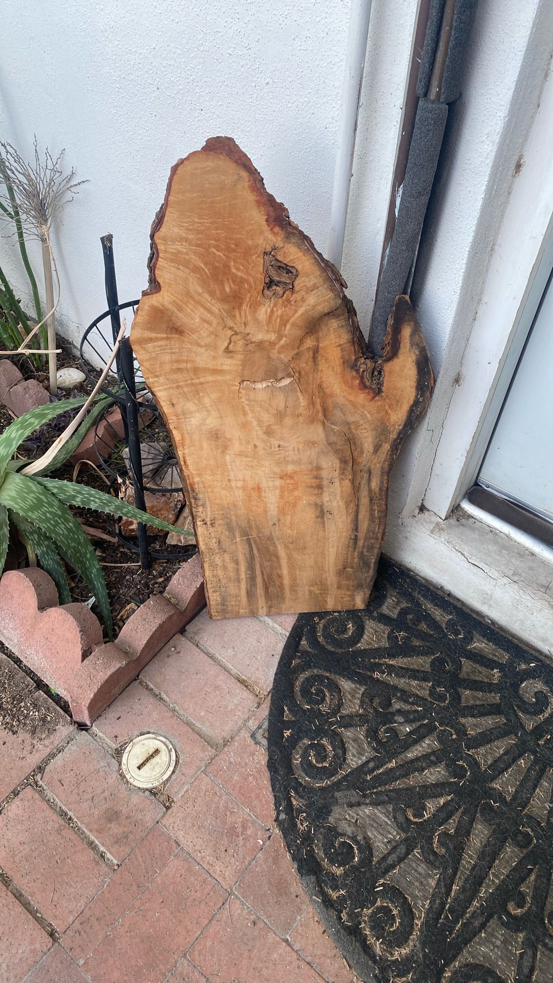 Michigan Wood Slab 5$