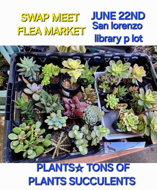 SWAP MEET. JUNE 22ND AT SAN LORENZO LIBRARY PARKING LOT..SELLING EVERYTHING