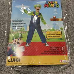 Super Mario Luigi Costume