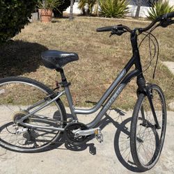 Trek Bike. Bicycle 