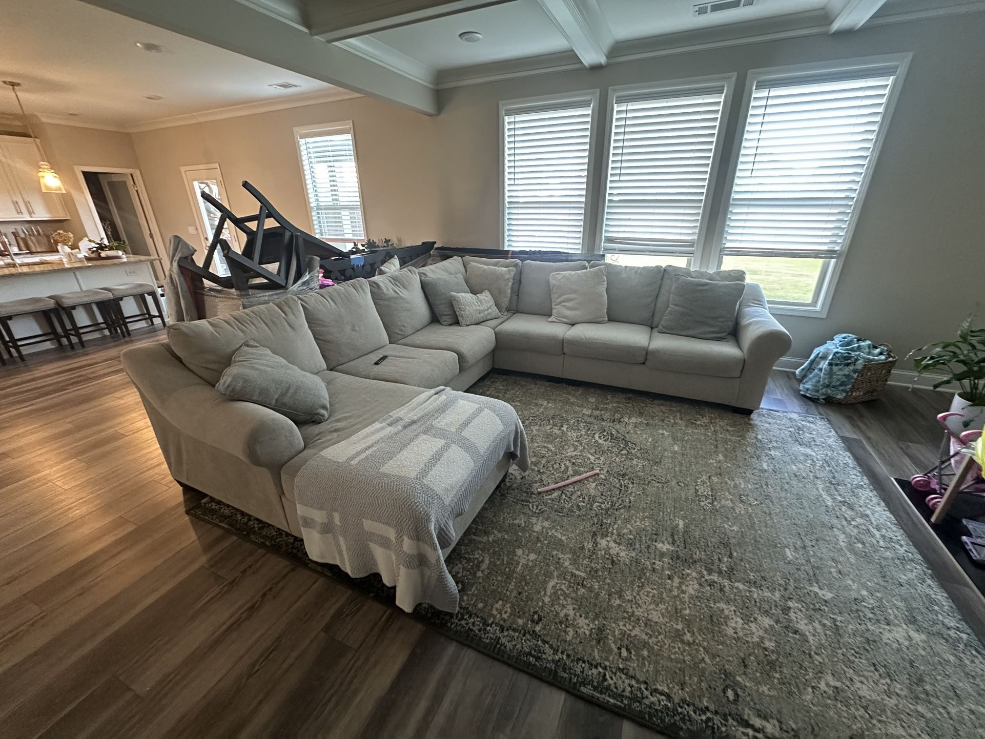 Living Room sectional 