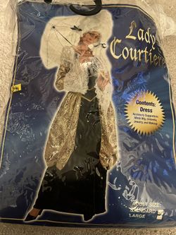 Lady Courtiere Costume