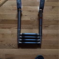 4 Steps Stainless Steel Telescoping Boat Ladder Swim Step Ladder, 600 Pound Capacity for Marine Yacht