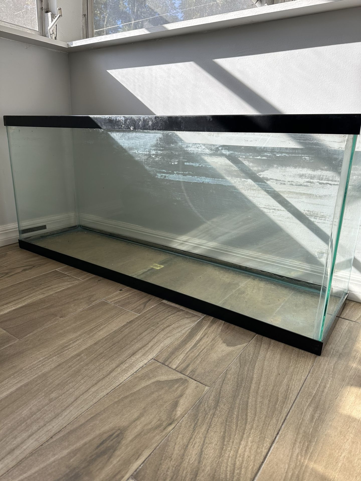Fish Tank