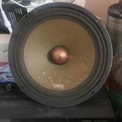 2x Ds18 10” Loud Speakers
