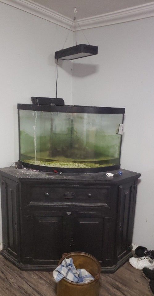 75 Gallon Salt water  Aquarium 