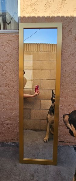 Gold Frame Over the Door Rectangle Mirror