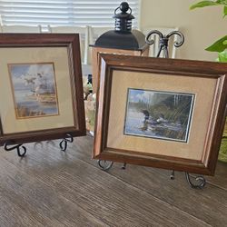 Pair of Rustic Bird Art Prints – Ducks & Loons – Framed Wall Décor

