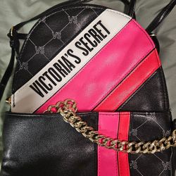 Victoria Secret Mini Backpack (Never Used)