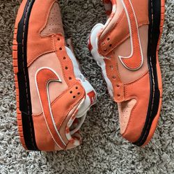 Orange Lobster SB dunks 10.5