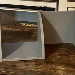 Shelves 