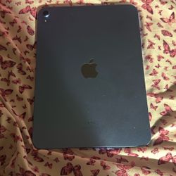 iPad 