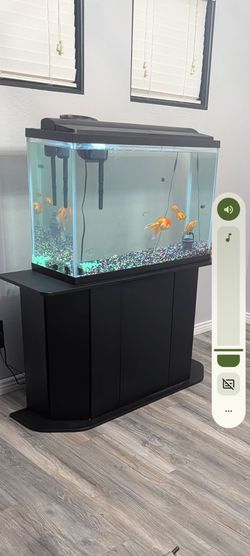 Fish tank