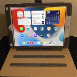 Apple iPad 5th Gen (Gold, 128Gb)