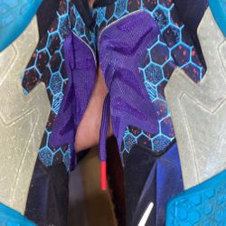 Lebron 11 Hornets