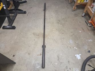45lb Olympic 7'4" bar.