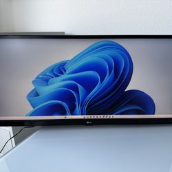 LG UltraWide Monitor