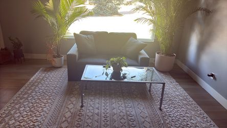 Loveseat- practically new