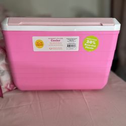 $20 New Pink Cooler