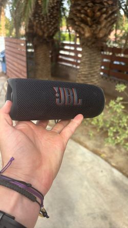 JBL Flip 6