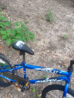 Bikes for kids