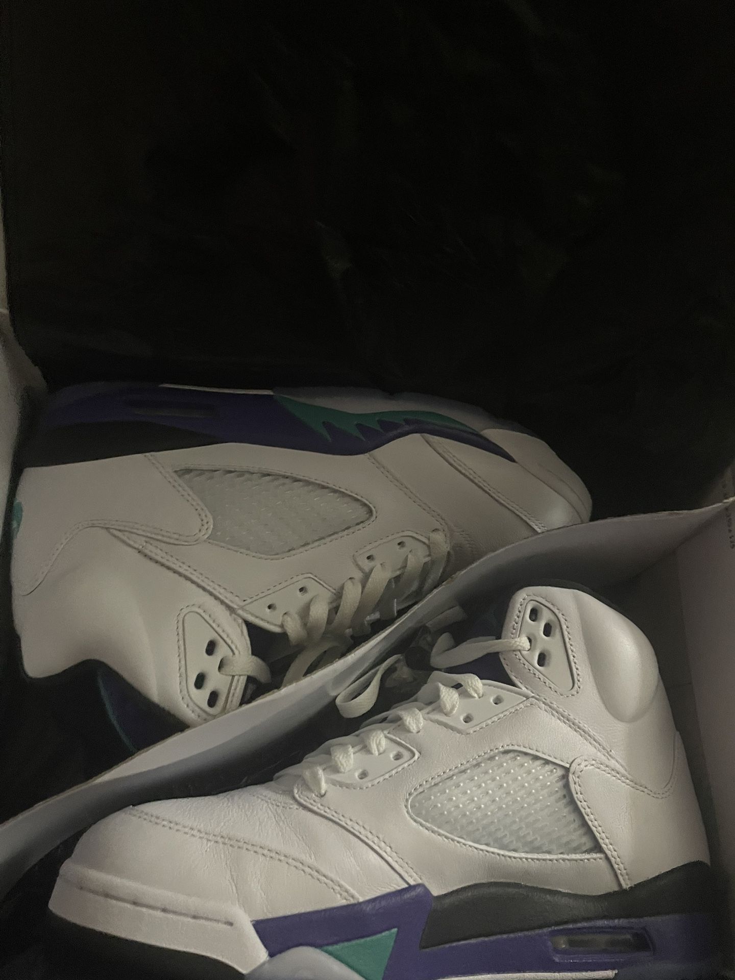 Men’s Jordan Grape 5, Sz 9 (2025)