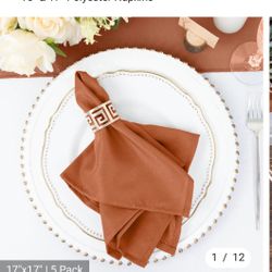 15" & 17" Polyester Napkins