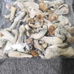 SPICES, SEASONING INGREDIENTS 