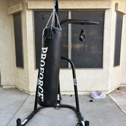 boxing bag/speed bag with stand