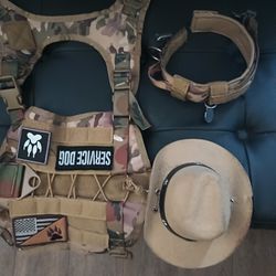 Large Size Tactical.  Harness , Collar& Neon Leash