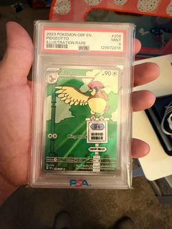 Pokémon slabs