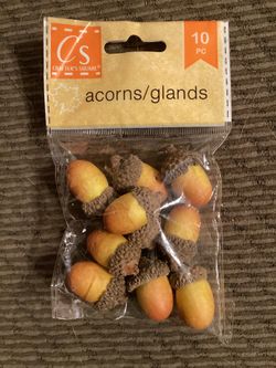 Brand New Crafters Square Acorns - 10 count