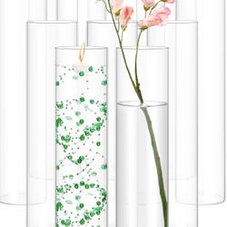 6 Glass Cylinder Vases -