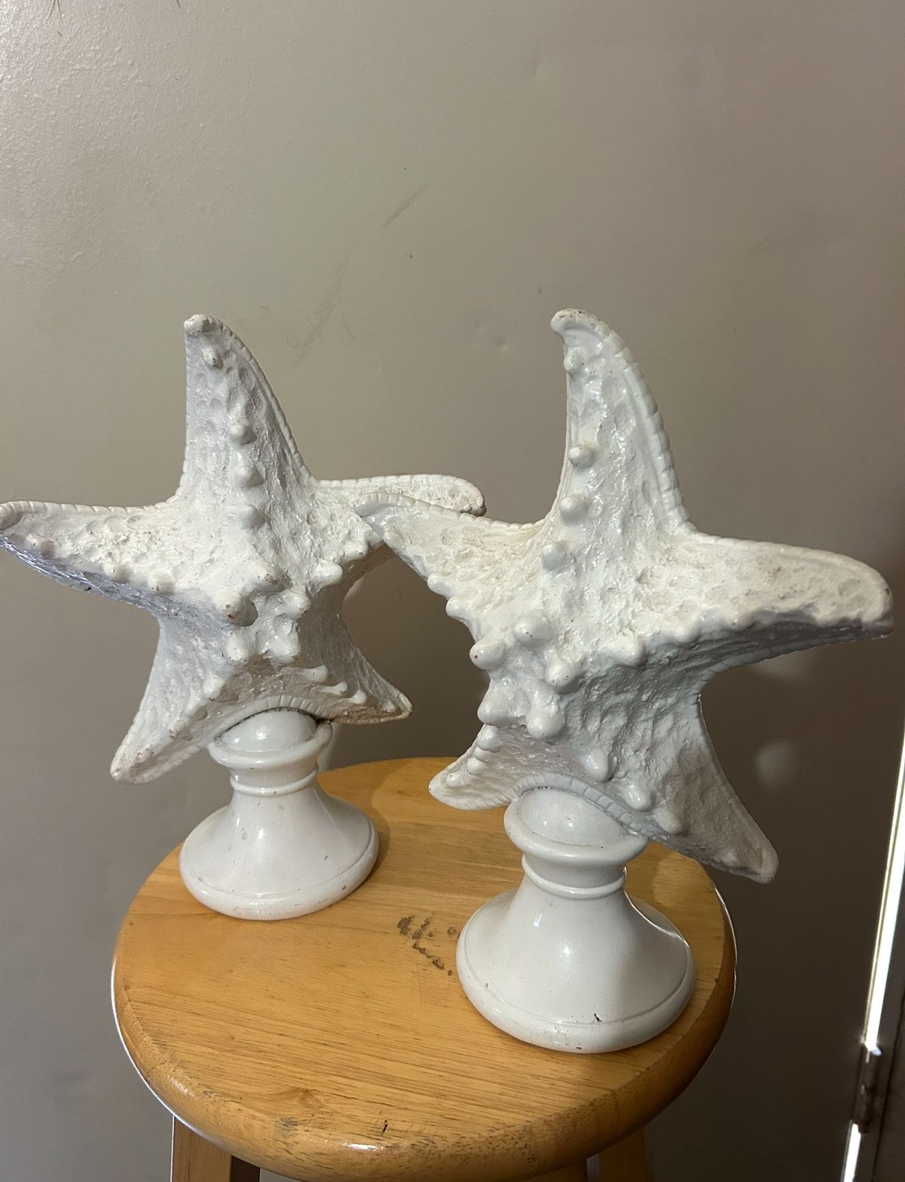 Star Fish Decoration