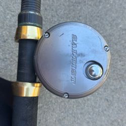 Fishing Pole and Reel Hotstick   6 Foot