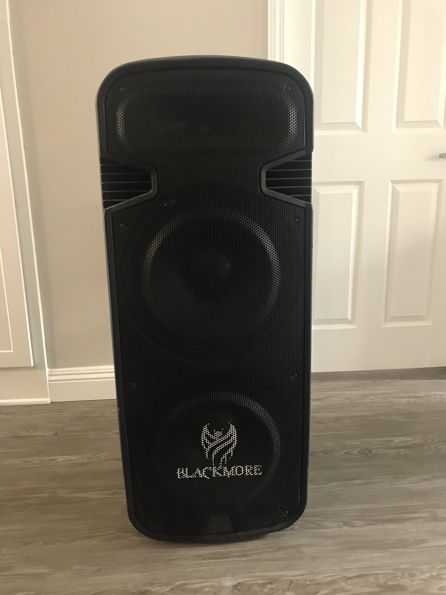Blackmore Multiple Use Speaker