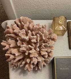 Large Coral $20