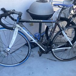 Fuji Carbon Road Racing Bike