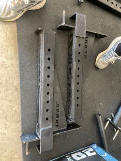 Rogue spotter arms