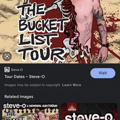 Steve O bucket List Tour