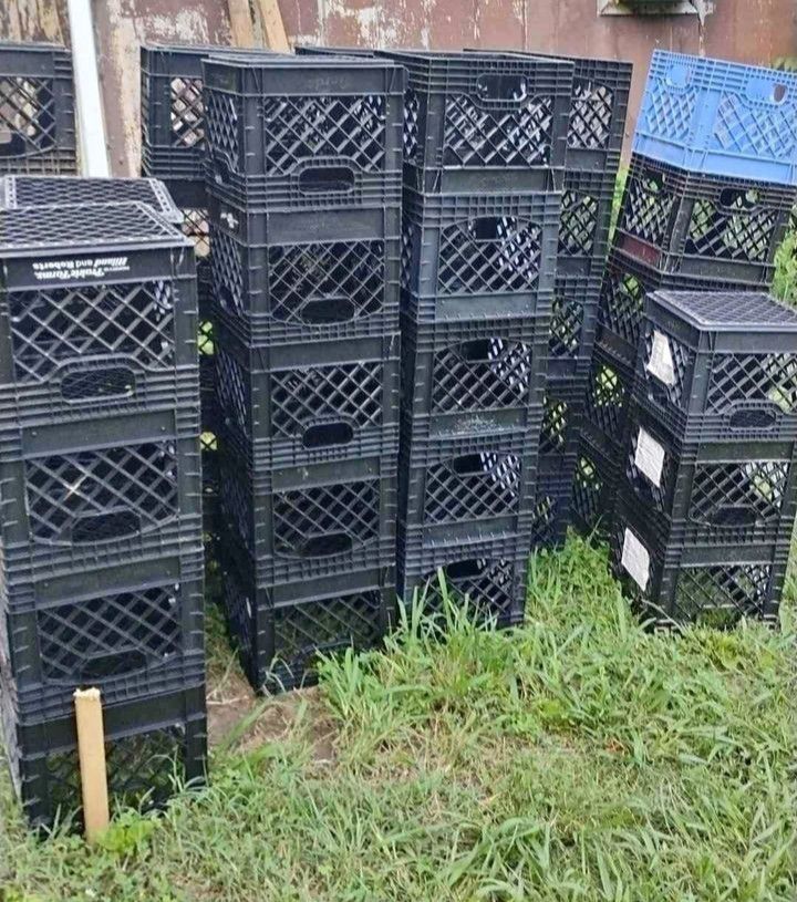 Milk Crates 