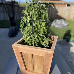 Planter Box