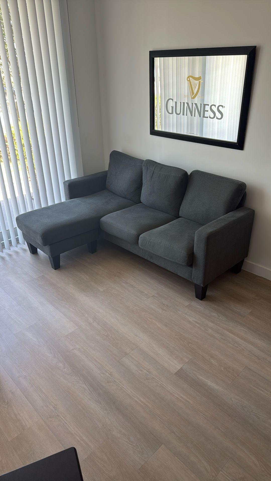 Gray Couch